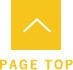 pagetop